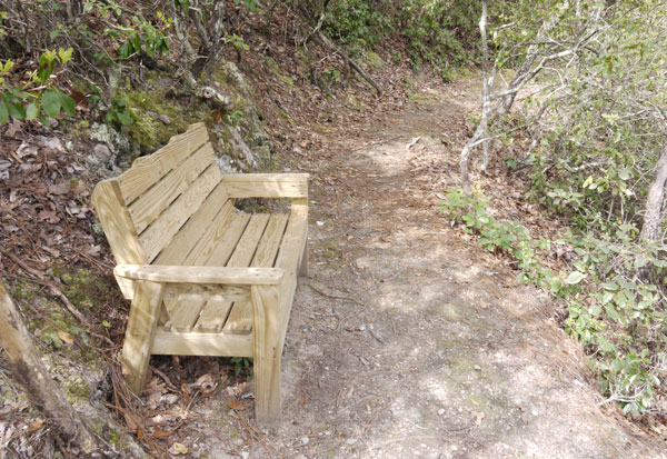 A Bench at A View of Weogufka Creek Canyon