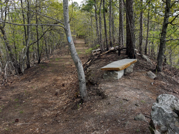 Stone Bench along Pinhoti