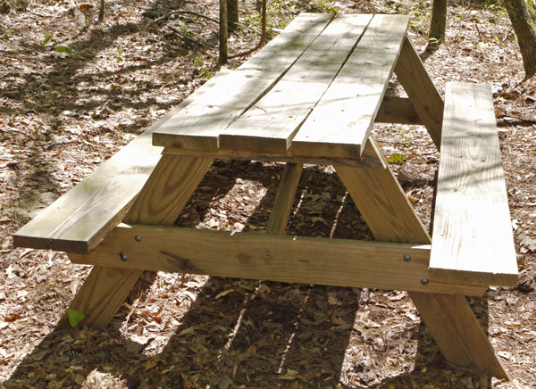 Camp Edwin Picnic Table