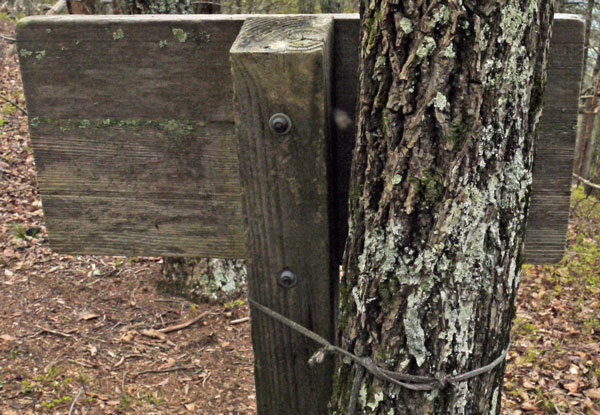 Pinhoti - Bald Rock Trail Sign Back