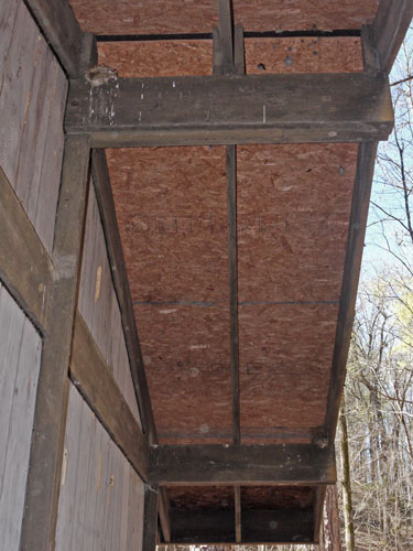 Lower Shoal Shelter Back Roof