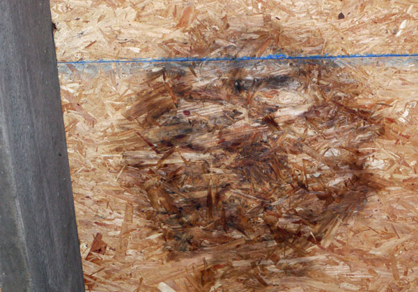 Lower Shoal Shelter Roof Chipboard Rot