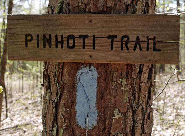 Pinhoti 2x4 Sign, Oakey Mountain Shelter