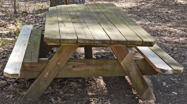 Oakey Mountain Shelter Picnic Table