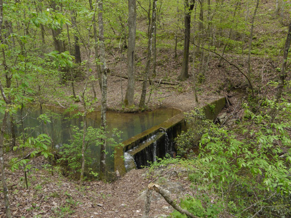 Dam in Lanie Creek