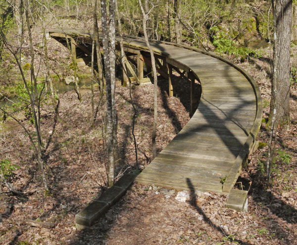 Curved Bridge West of Georgia 100